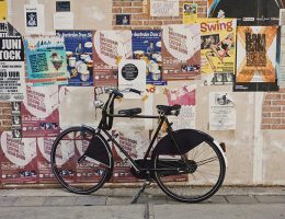 micaela-parente-TE2zg20VOZY-unsplash micaela-parente-TE2zg20VOZY-unsplash